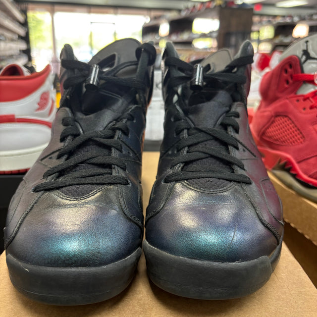 Chameleon Jordan 6 Retro (USED, No Box)