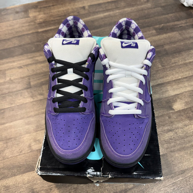 Concepts Purple Lobster Nike SB Dunk Low (USED)