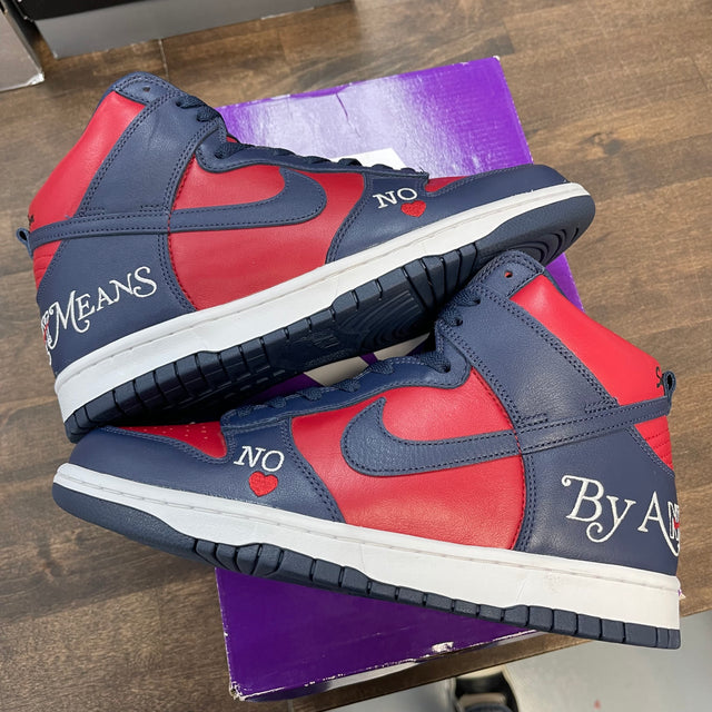 Supreme By Any Means Necessary SB Dunk High (USED)