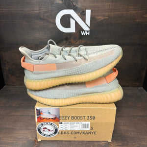adidas Yeezy Boost 350 V2 True Form - Image 1