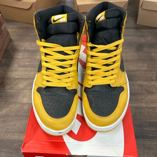 Pollen Jordan 1 High (USED, No Box)