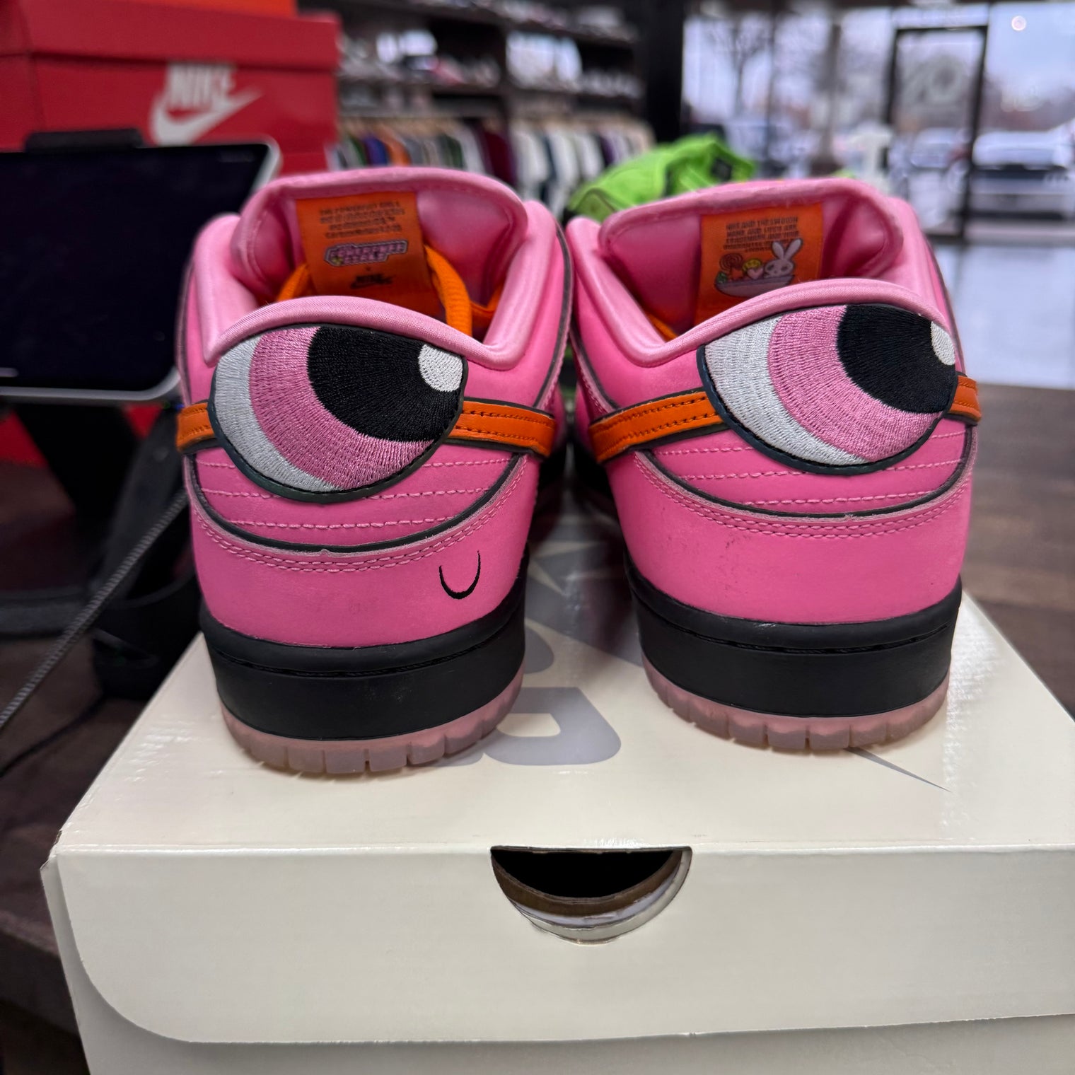 The Powerpuff Girls Blossom Nike SB Dunk Low (USED)