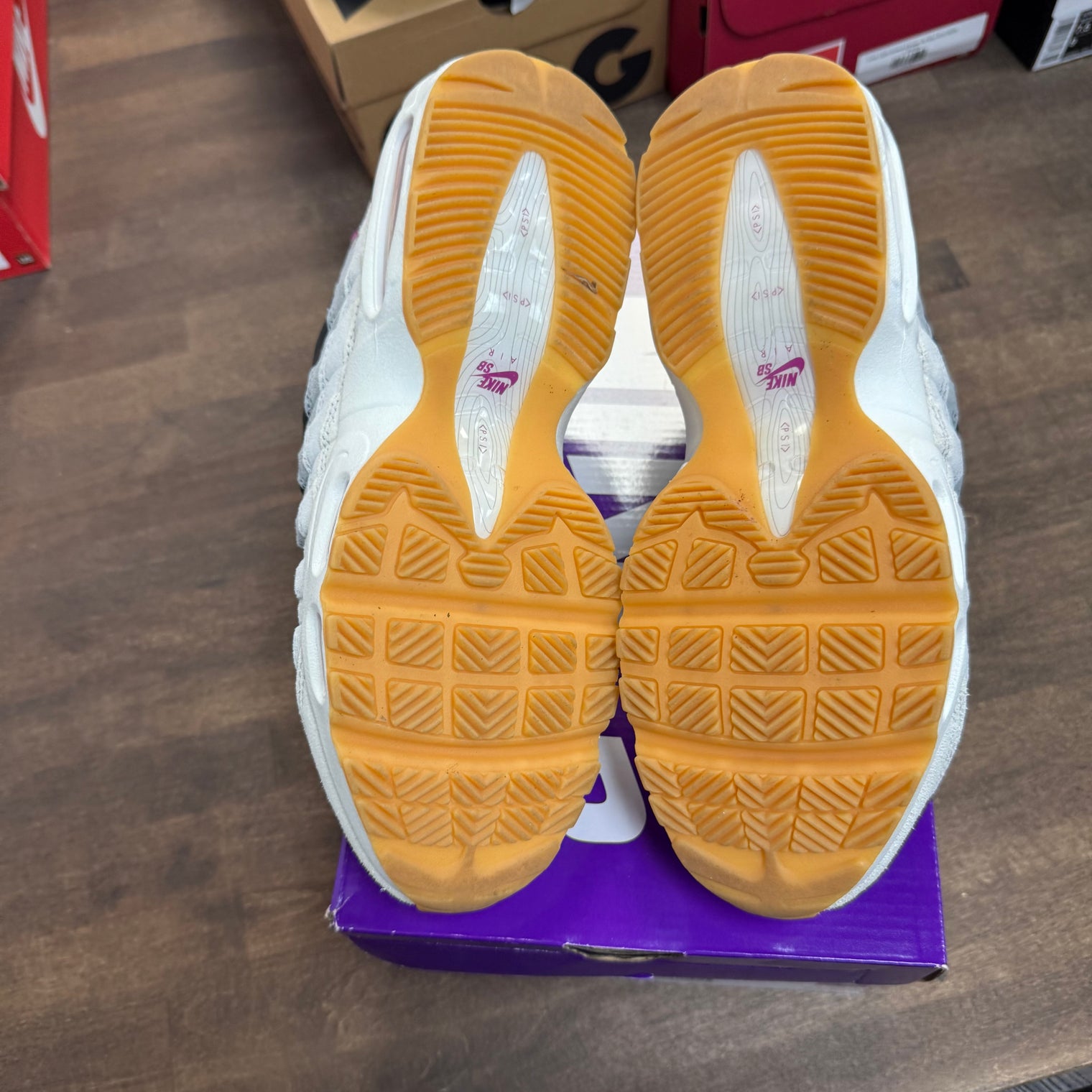 Cactus Flower Air Max 95 SB (USED)