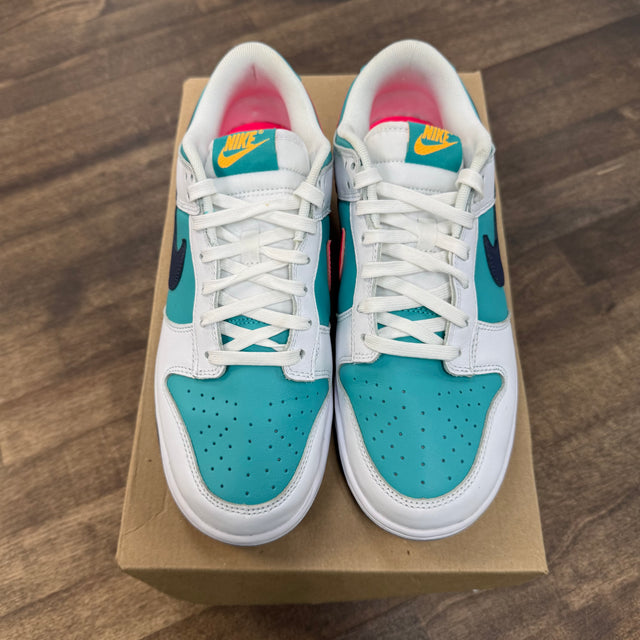 Dusty Cactus Nike Dunk Low (USED, No Box)