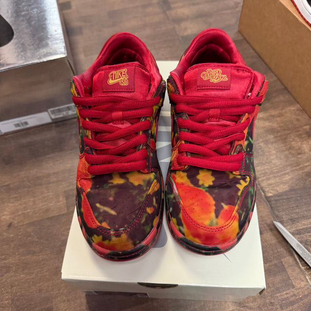 Wizard of OZ SB Dunk Low (USED)