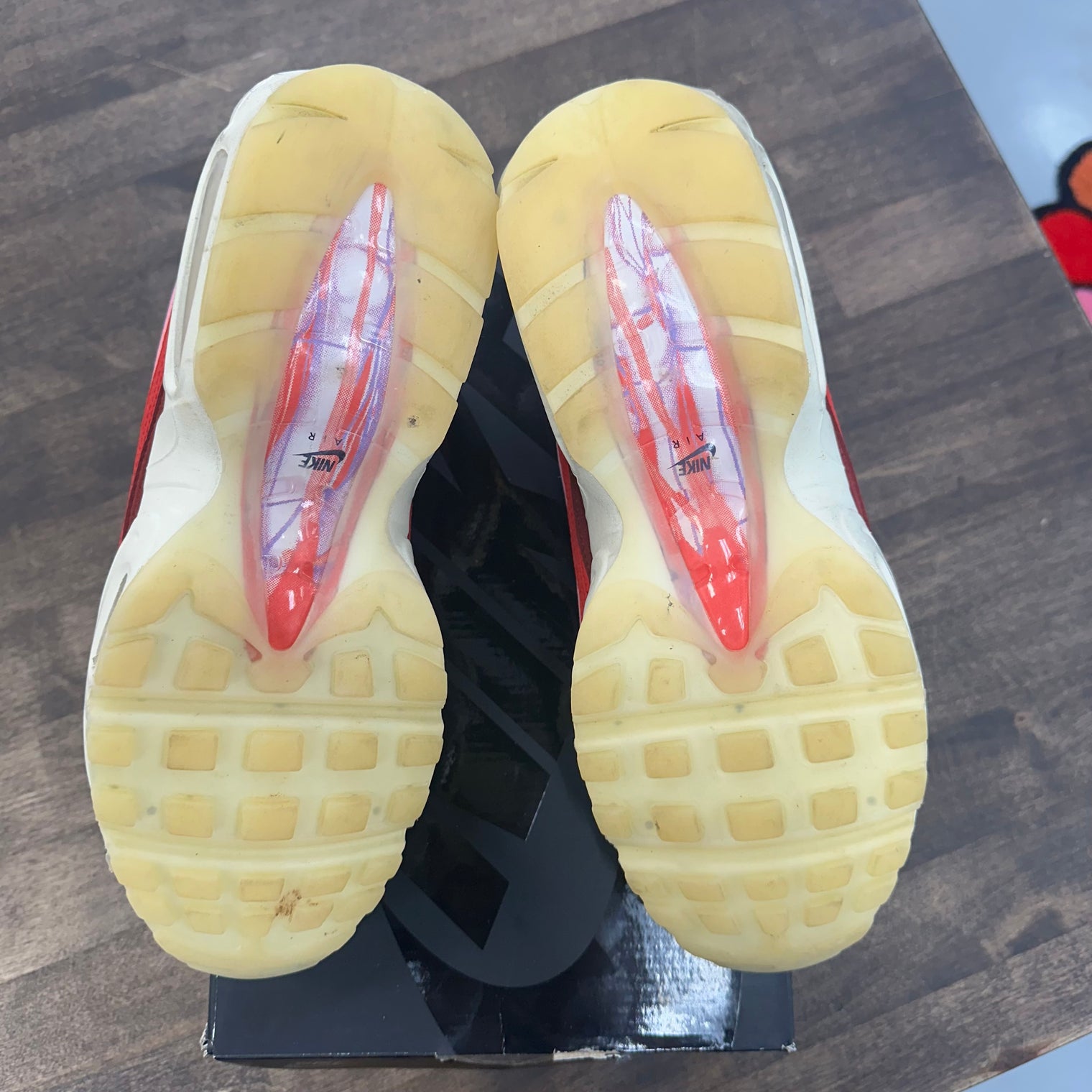 Anatomy Air Max 95 (USED)