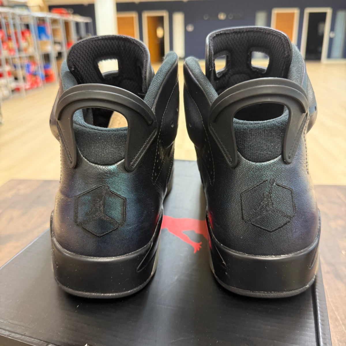 Jordan 6 Retro All-Star Chameleon (2017) - Image 4