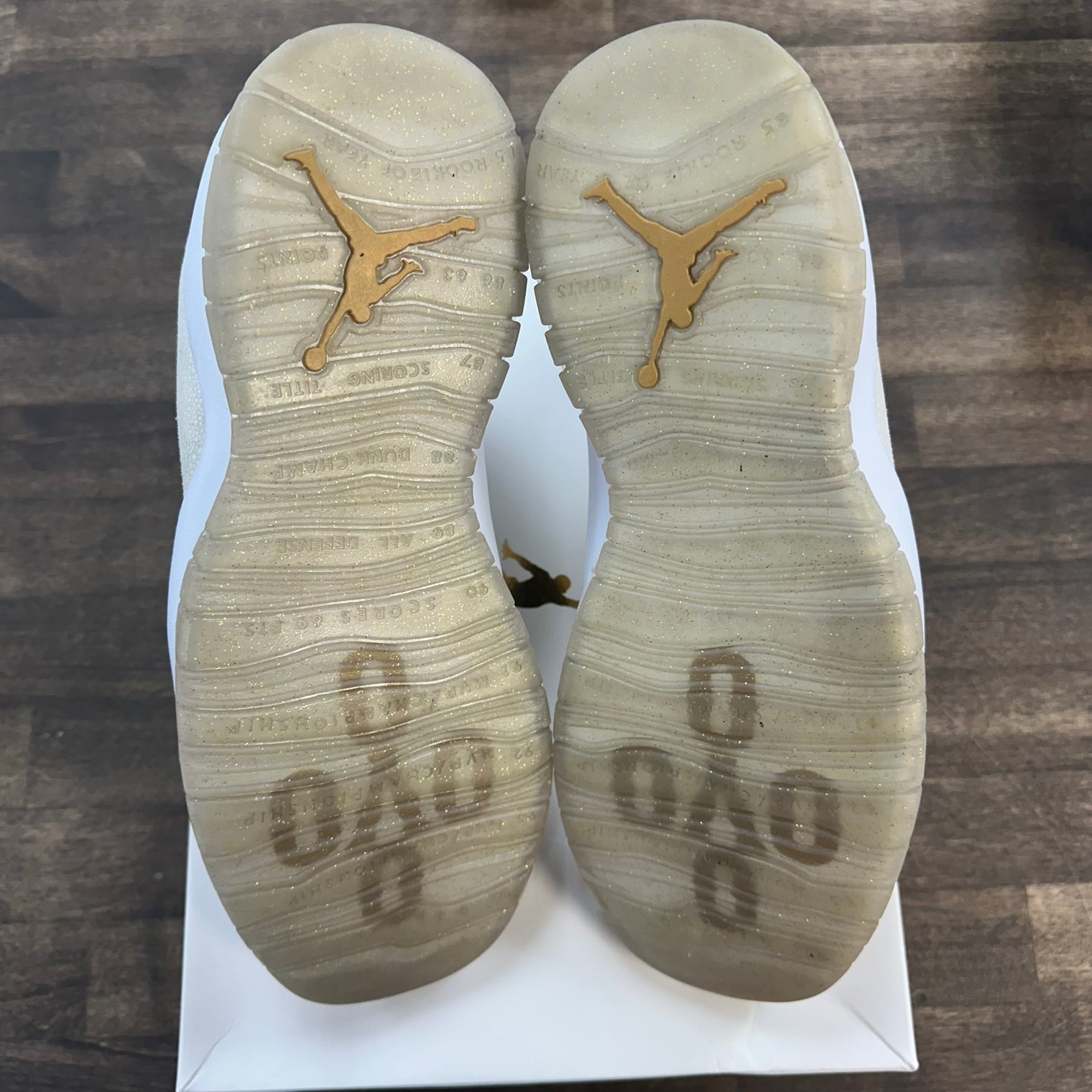 Drake OVO White Jordan 10 Retro (USED)