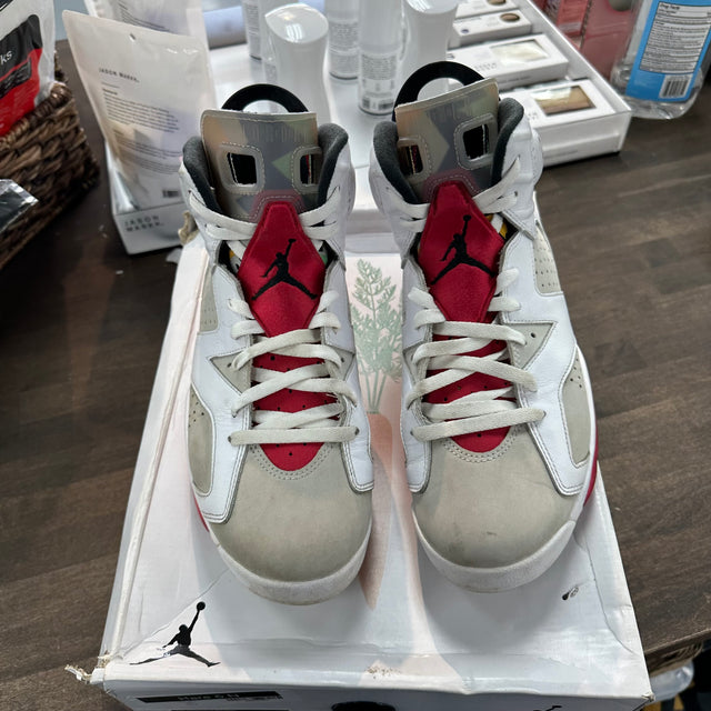 Hare Jordan 6 (USED)