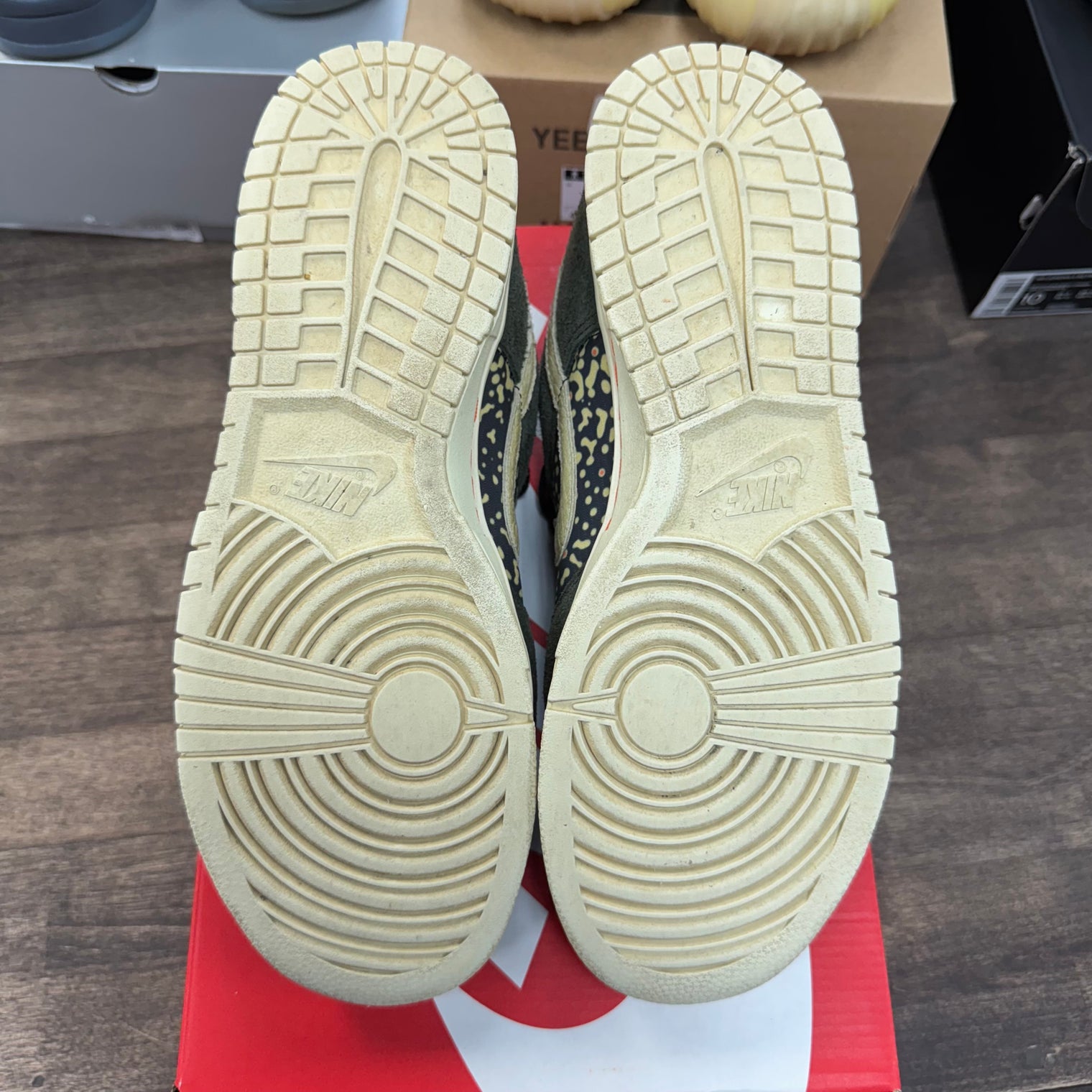 Gone Fishing Rainbow Trout Dunk Low SE (USED)