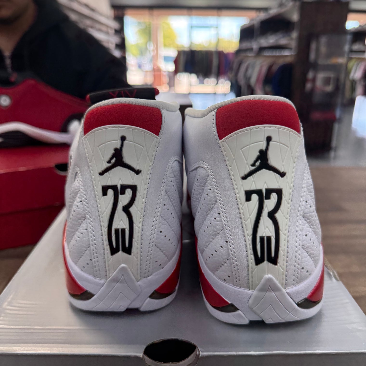 Rip Hamilton Candy Cane Jordan 14 Retro (Tried On)