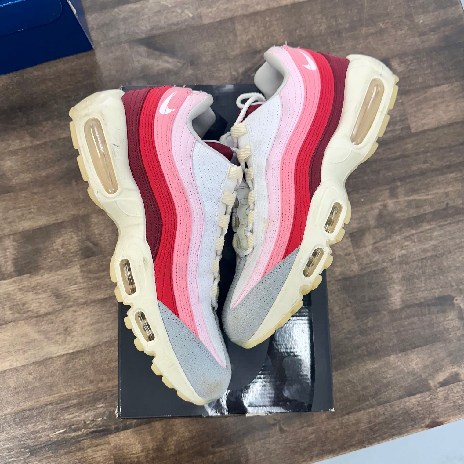 Anatomy Air Max 95 (USED)