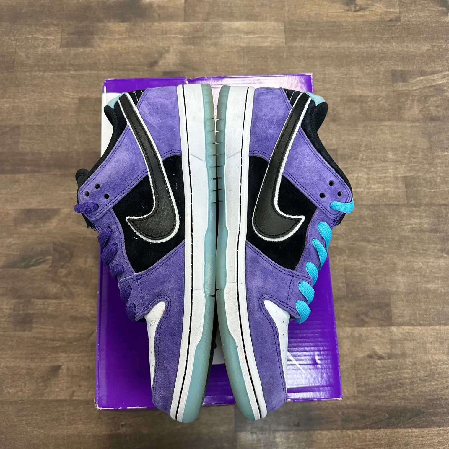 Haley Wilson Nike SB Dunk Low (USED)
