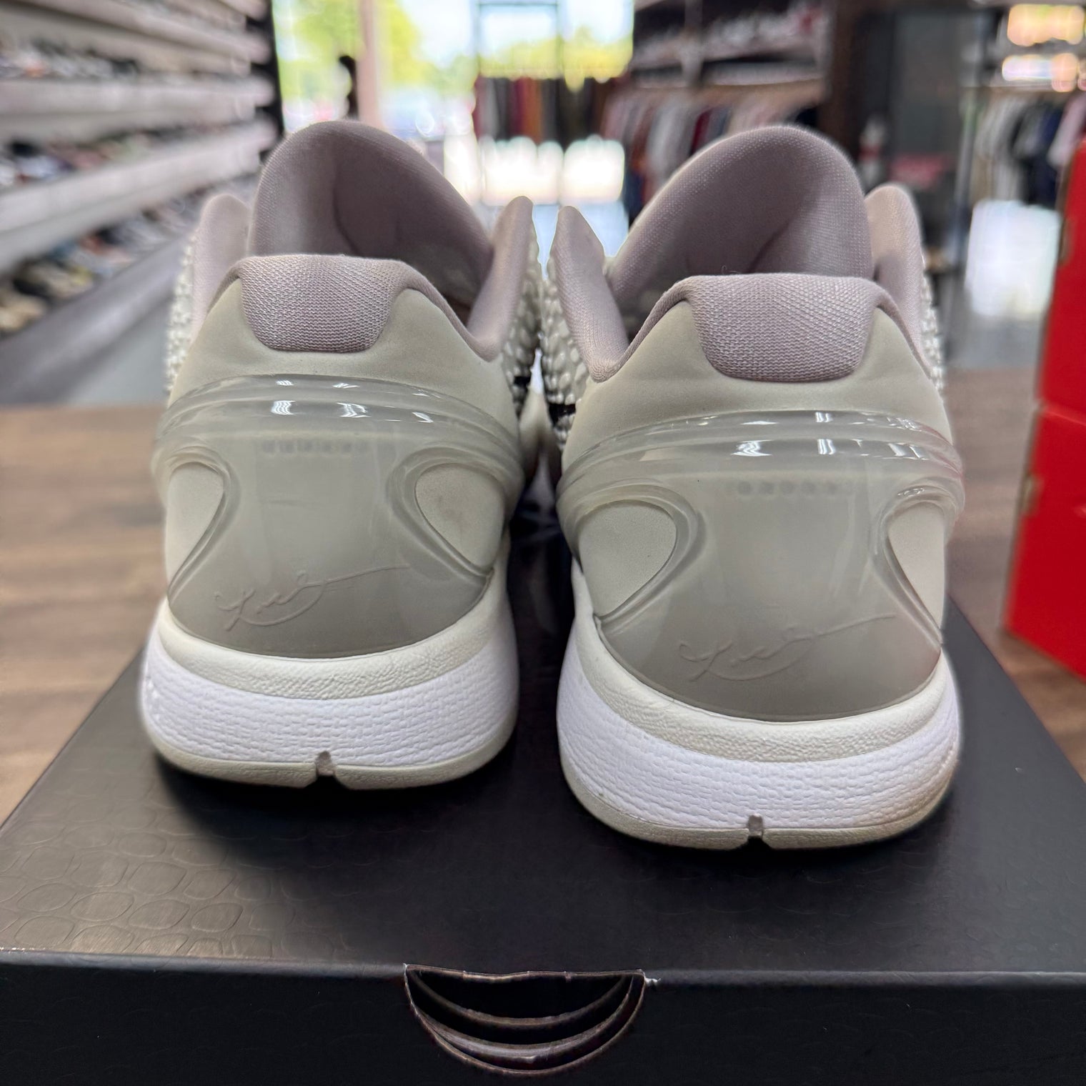 All Star Kobe 6 Protro (USED)