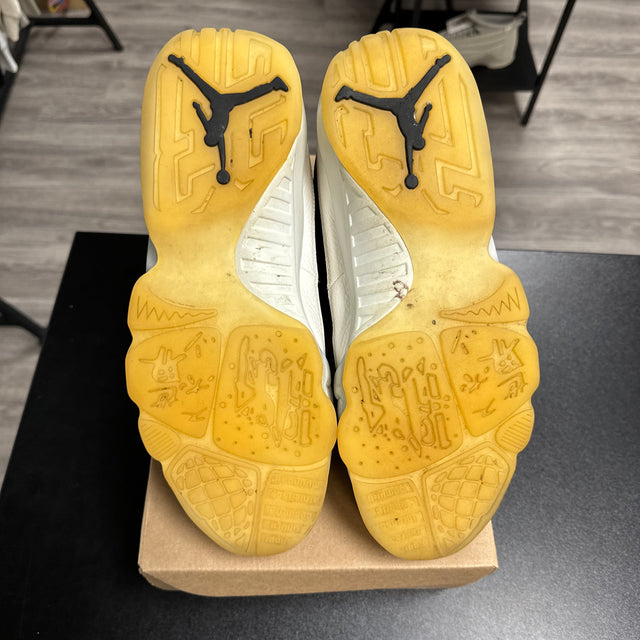 City Of Flight Jordan 9 (USED, no box)