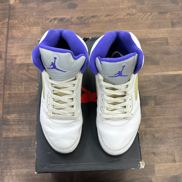 Dark Concord Jordan 5 Retro (USED)