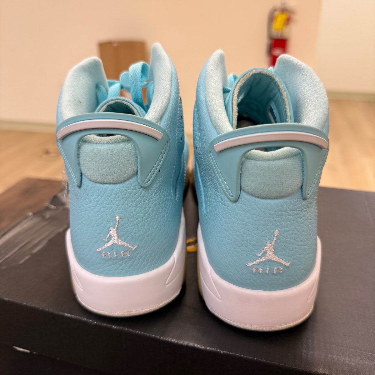 Jordan 6 Retro Pantone (GS) - Image 4