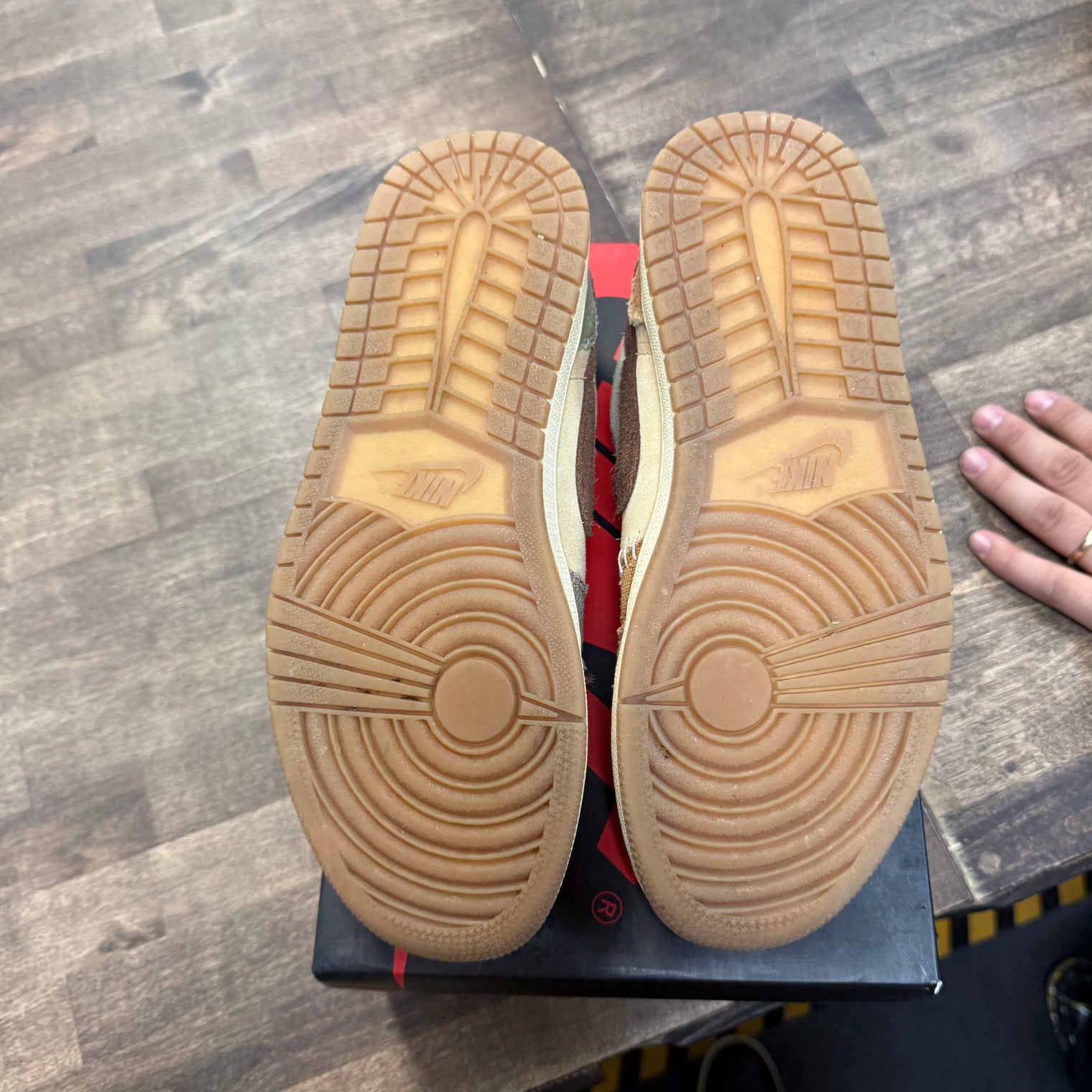 Zion Williamson Jordan 1 Low OG (USED)