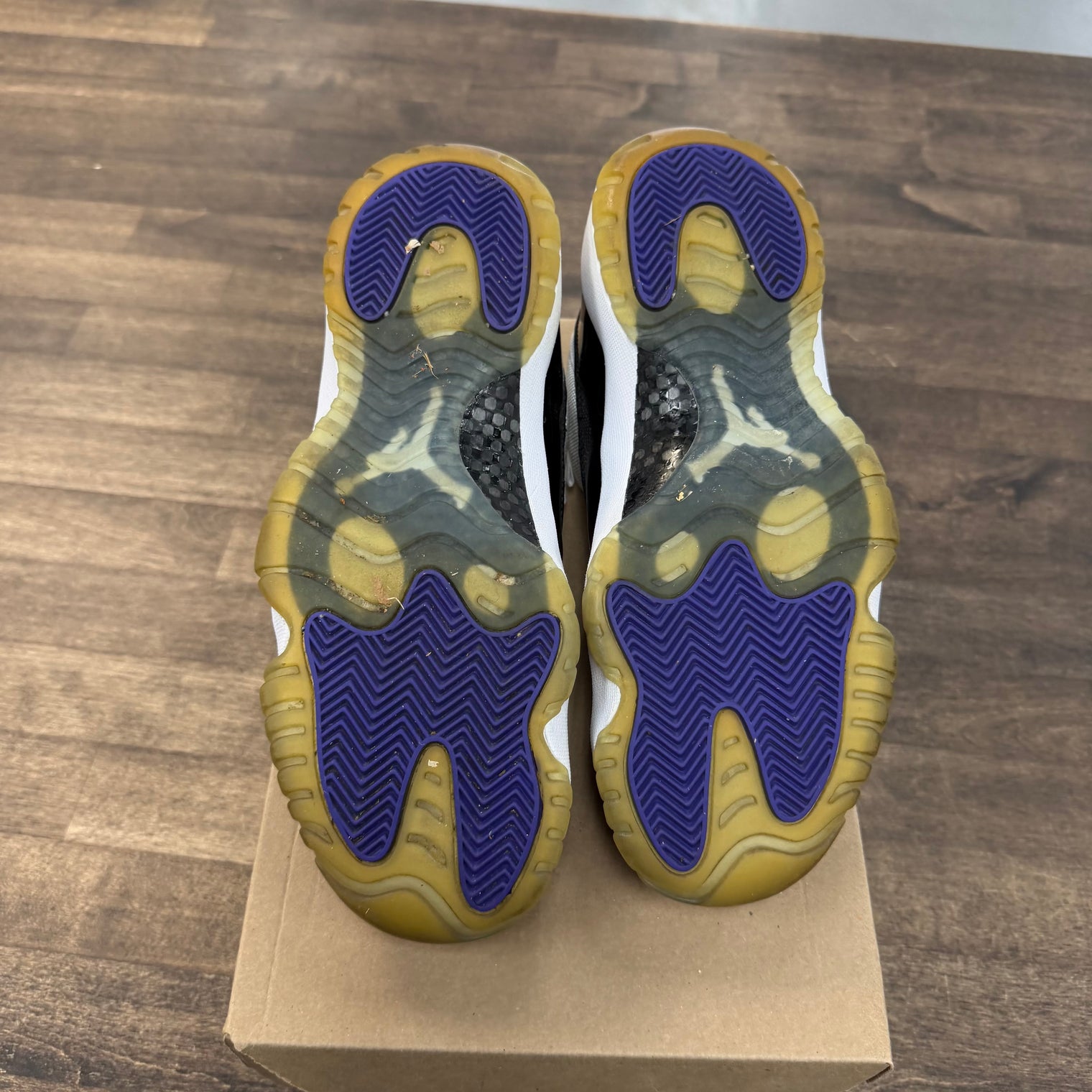 Concord Jordan 11 Low (USED, No Box)