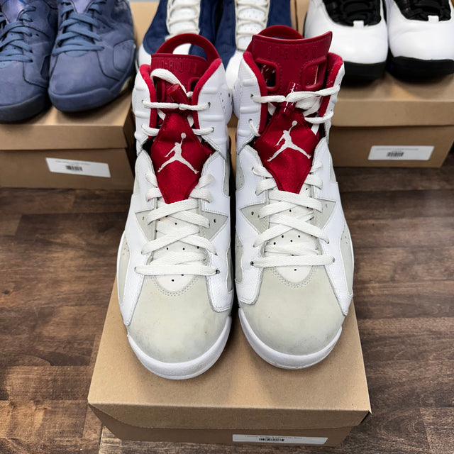 Alternate Jordan 6 (USED, No Box)