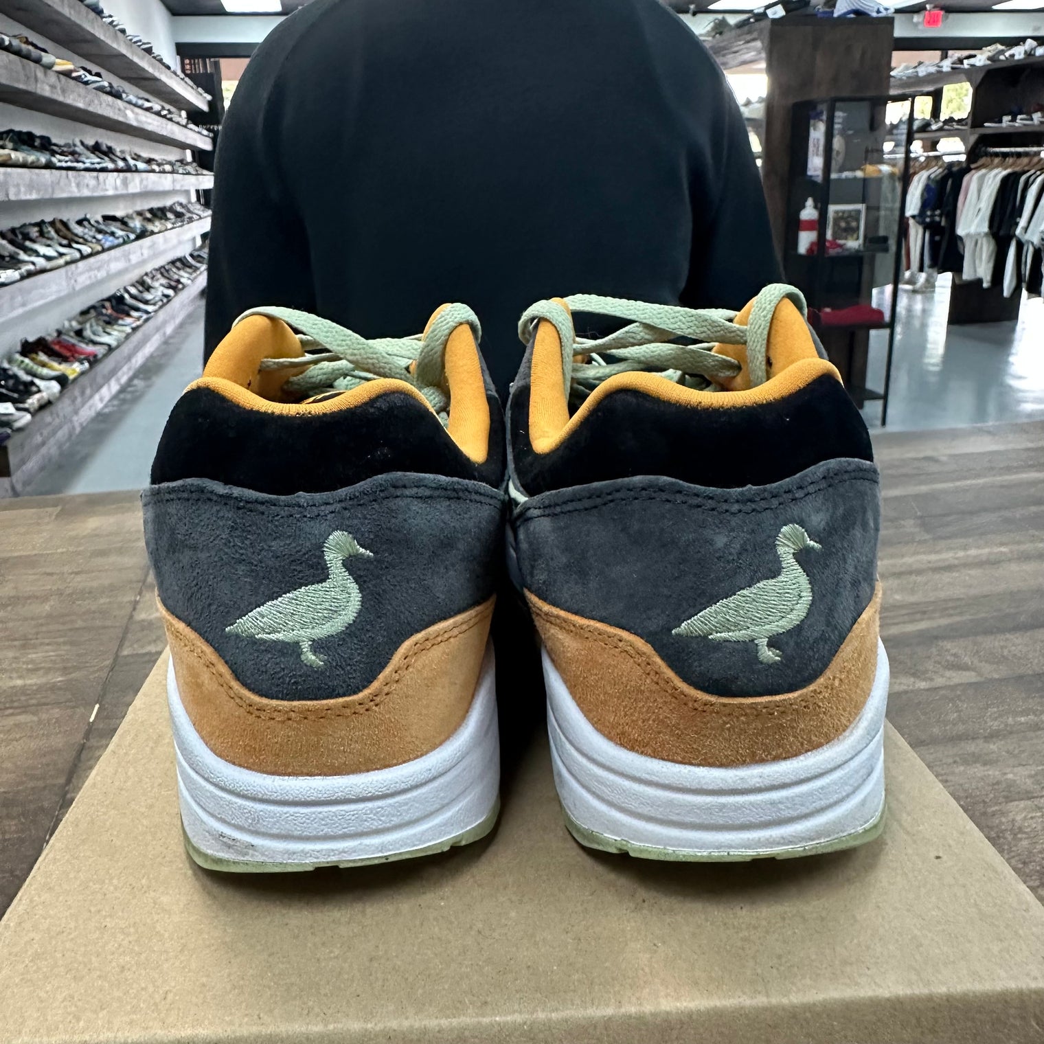 Duck Honey Dew Nike Air Max 1 PRM (USED, No Box)