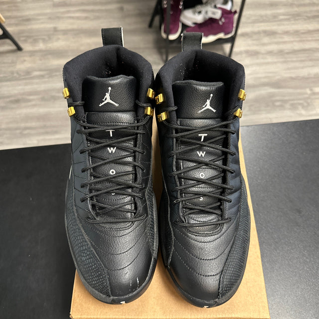 Master Jordan 12 Retro (USED, no box)