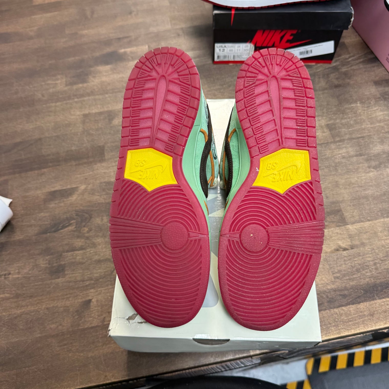 Rodeo Tourmaline Nike SB Dunk Low (Lightly Worn)