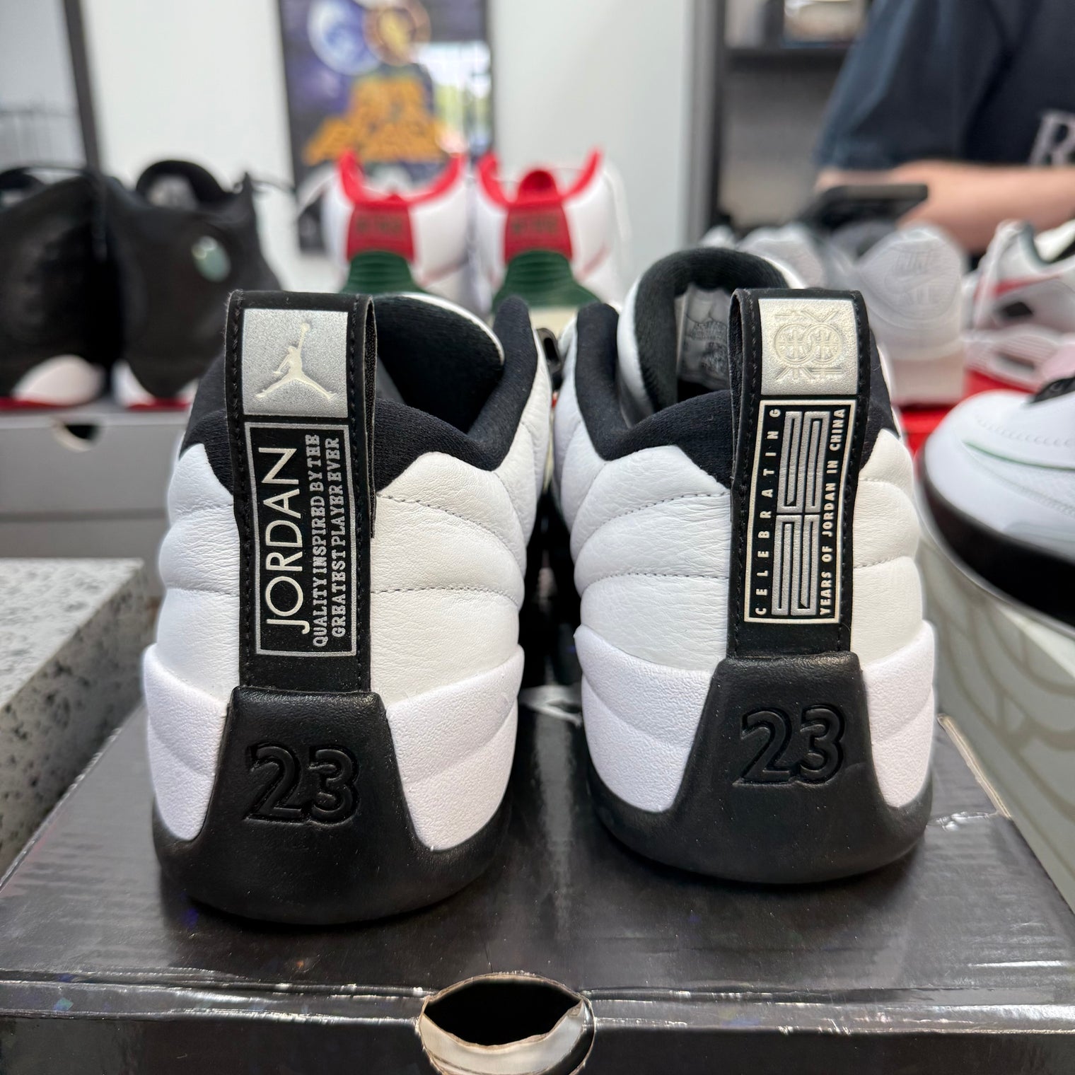 25 Years In China Jordan 12 Low (USED)
