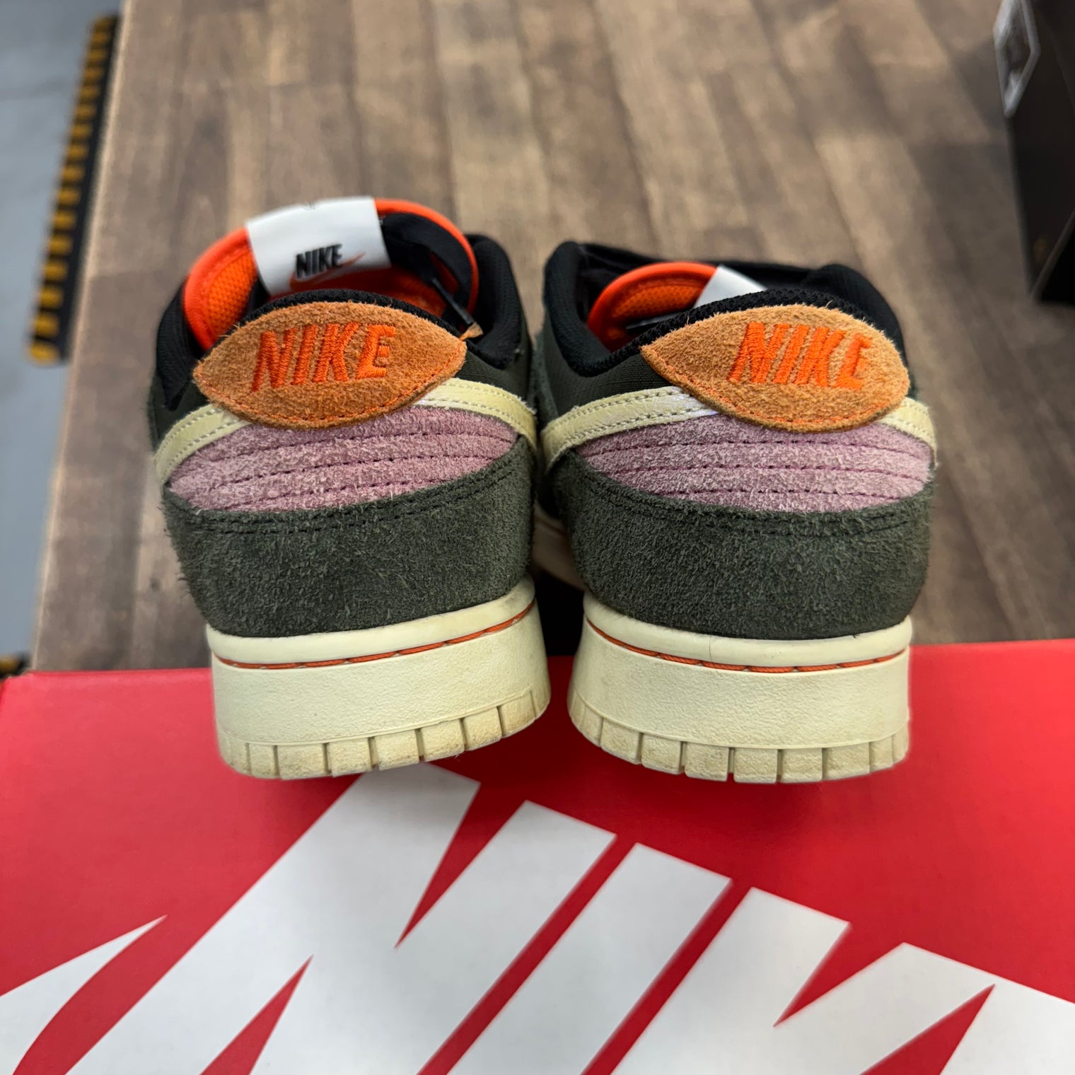 Gone Fishing Rainbow Trout Dunk Low SE (USED)