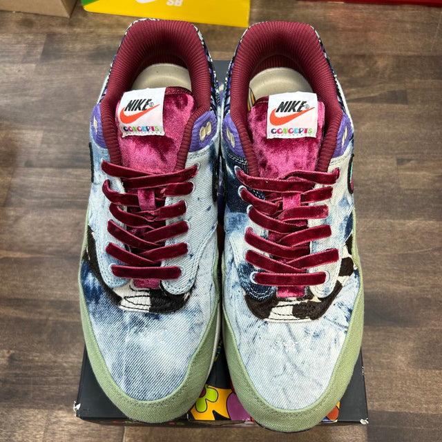 Concepts Mellow Air Max 1 SP (USED)