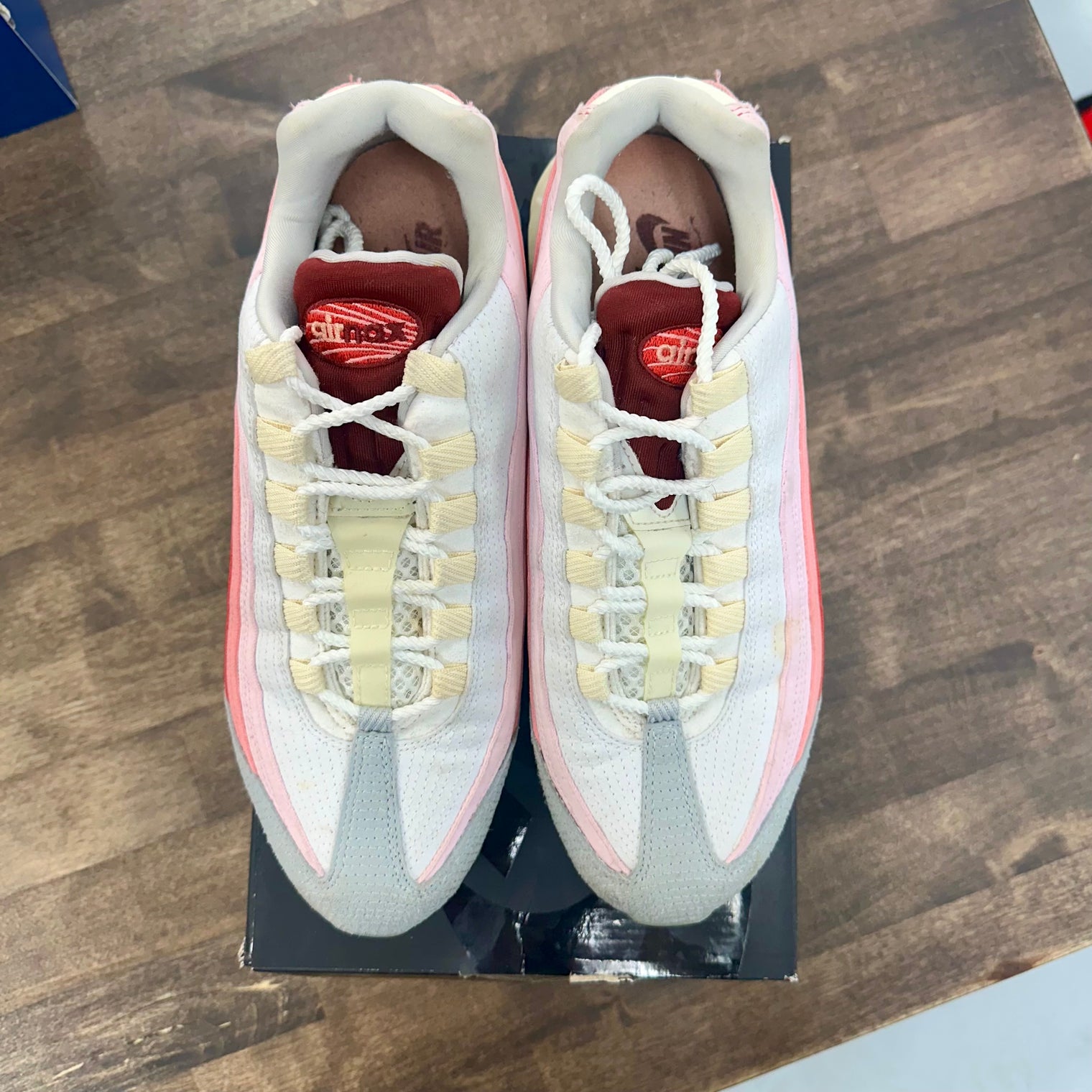 Anatomy Air Max 95 (USED)