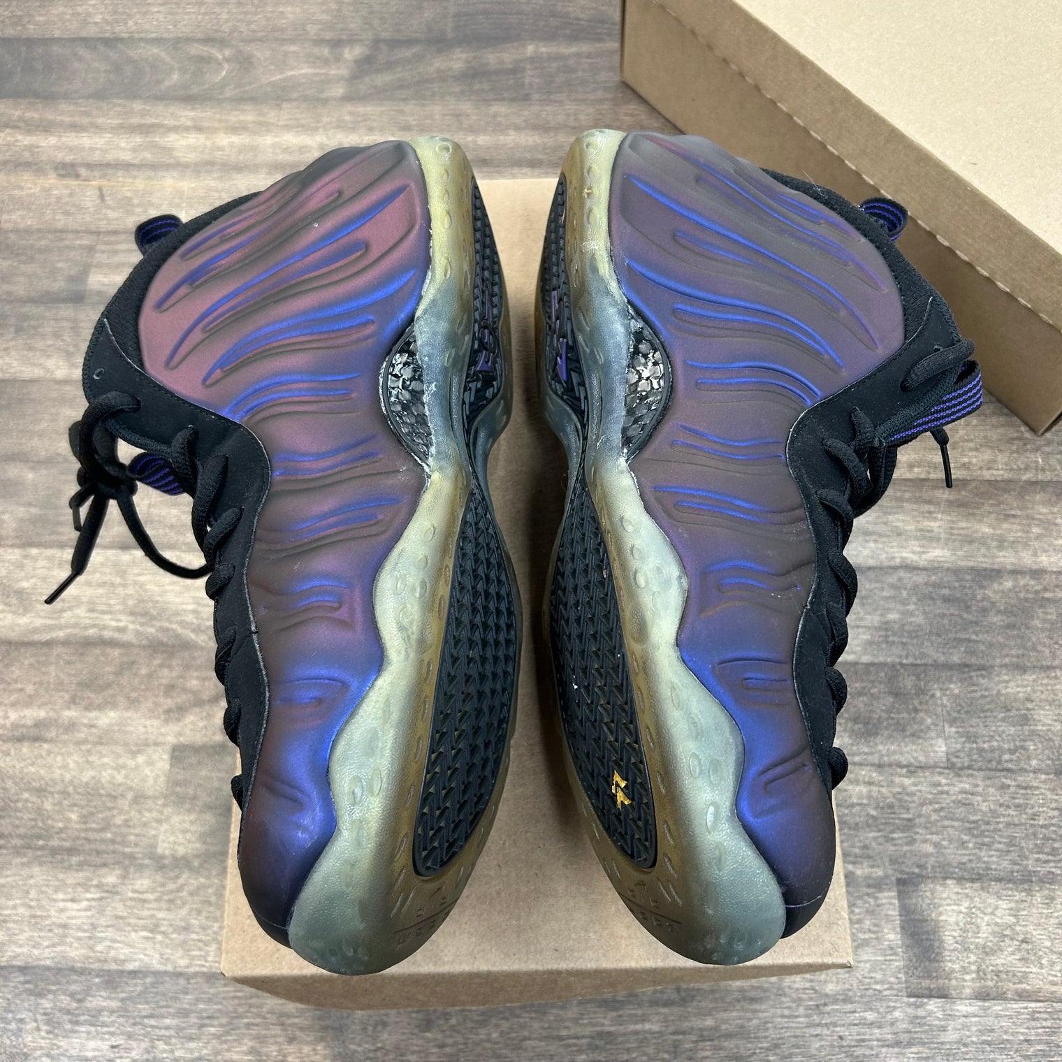 Eggplant Nike Foamposite (2017) (USED, No Box)