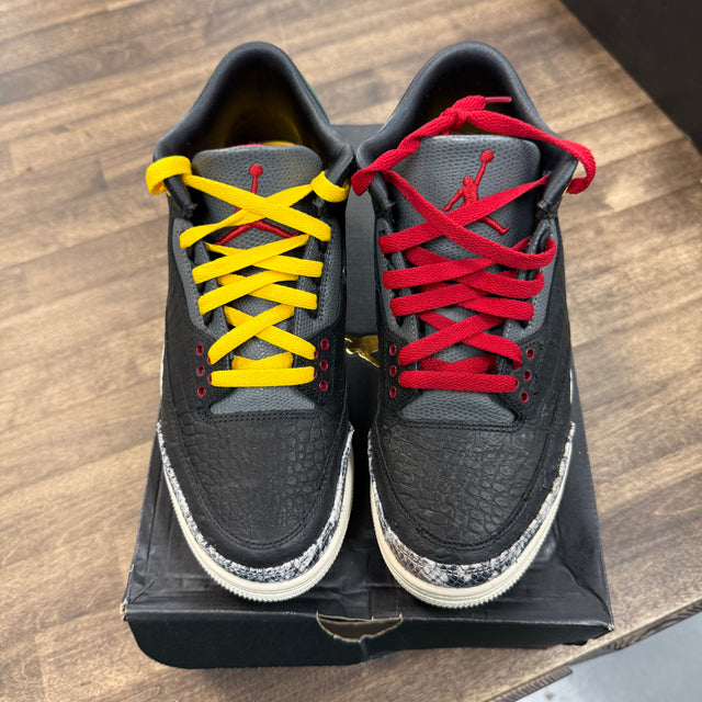 Animal Instinct 2.0 Jordan 3 Retro SE (USED)