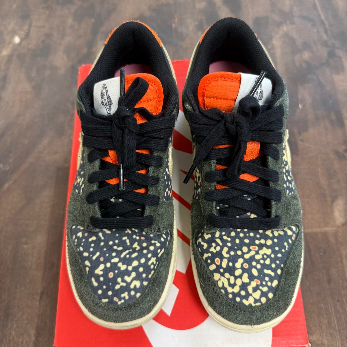 Nike Dunk Low SE Gone Fishing Rainbow Trout - Image 2