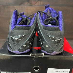 Nike LeBron 11 Black History Month Size 12 (Pre-Owned) - aux
