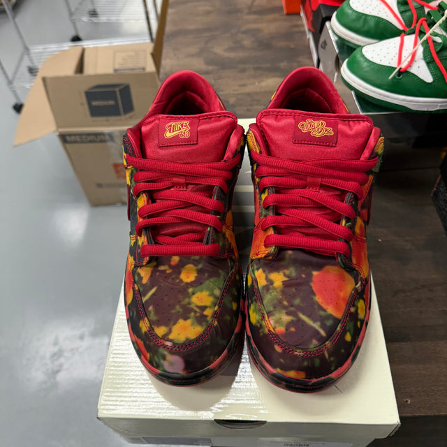 Wizard of OZ SB Dunk Low (Like New)