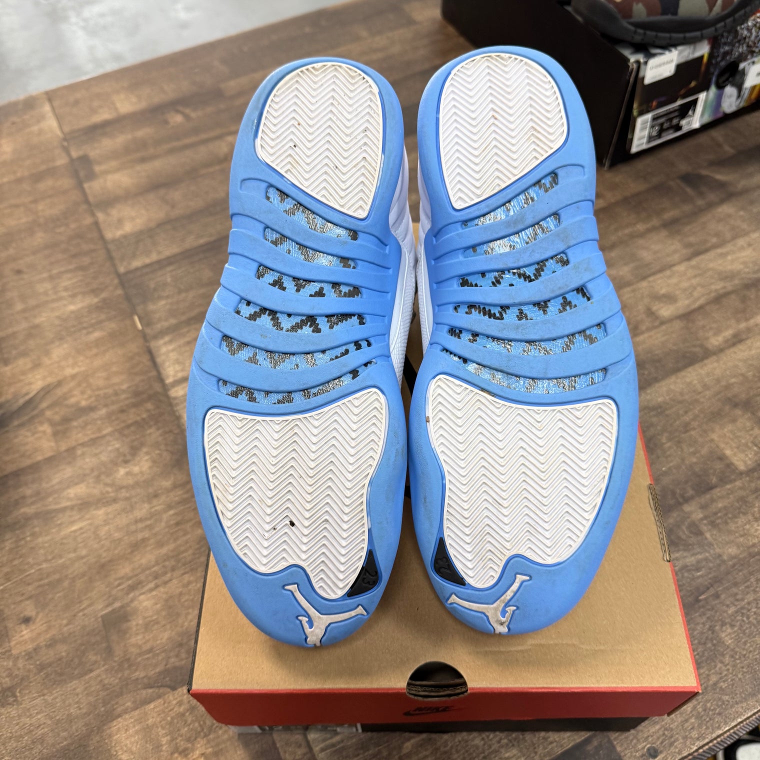 Melo Jordan 12 Retro (USED)