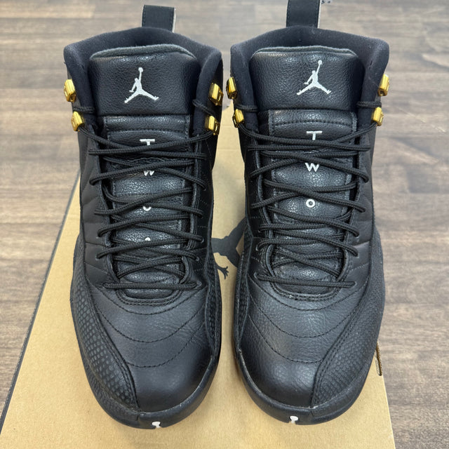 Master Jordan 12 Retro (USED)