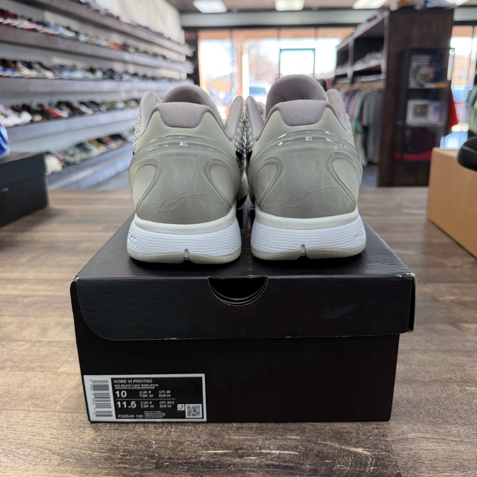 Sail All-Star Nike Kobe 6 Protro (USED)