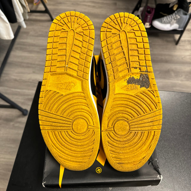 Pollen Jordan 1 High (USED)