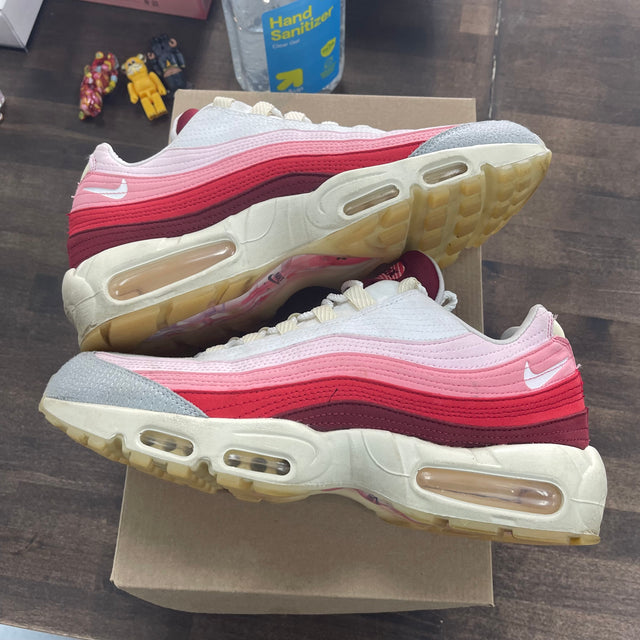 Anatomy Air Max 95 (USED, No Box)
