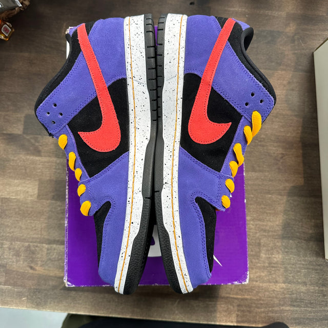 ACG Terra SB Dunk Low (USED)