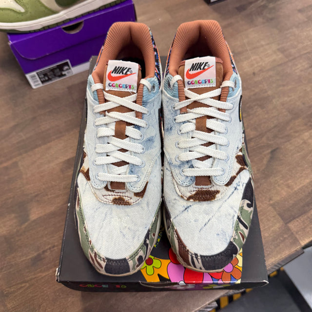 Nike Air Max 1 SP Concepts Heavy (USED)