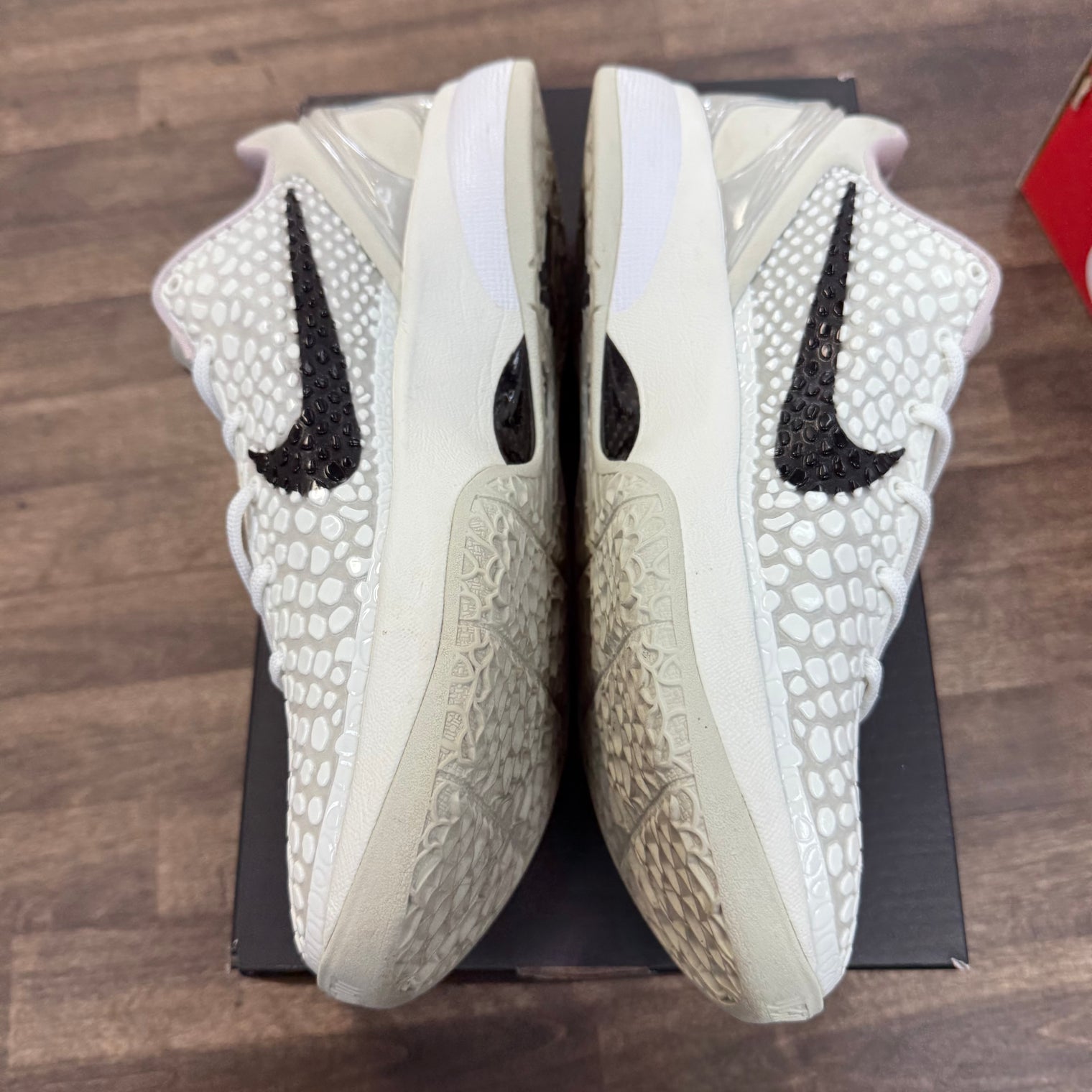 All Star Kobe 6 Protro (USED)