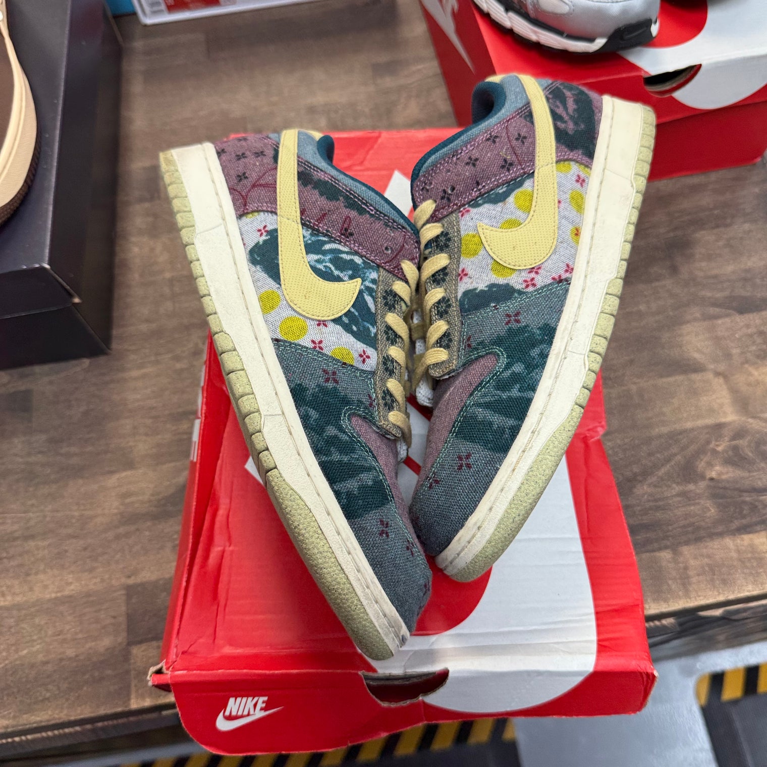 Community Garden Nike Dunk Low (USED)