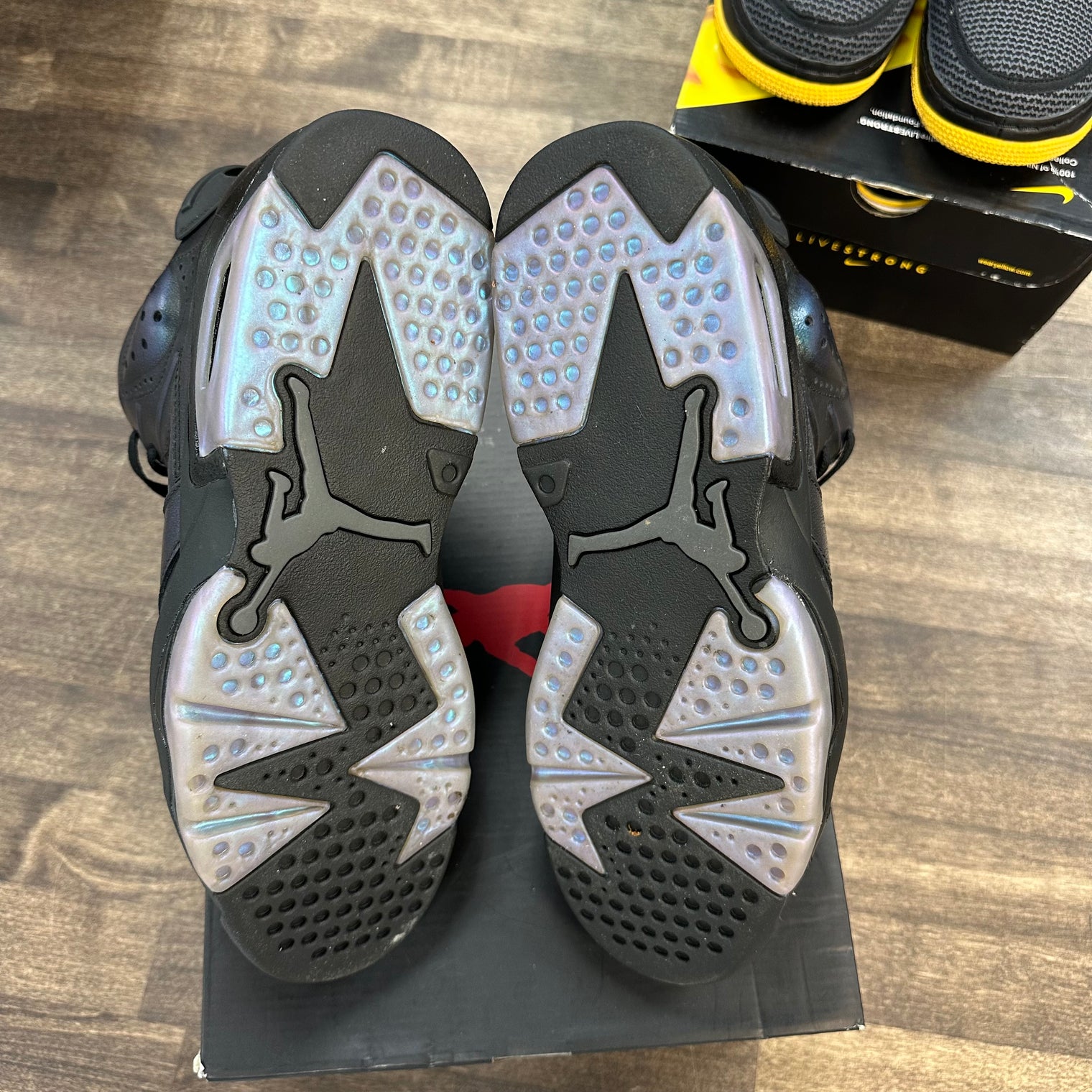 All-Star Chameleon Jordan 6 Retro (Lightly Worn)