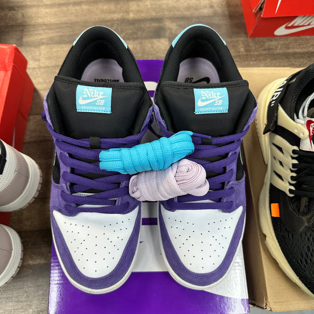 Hayley Wilson Nike SB Dunk Low (USED)