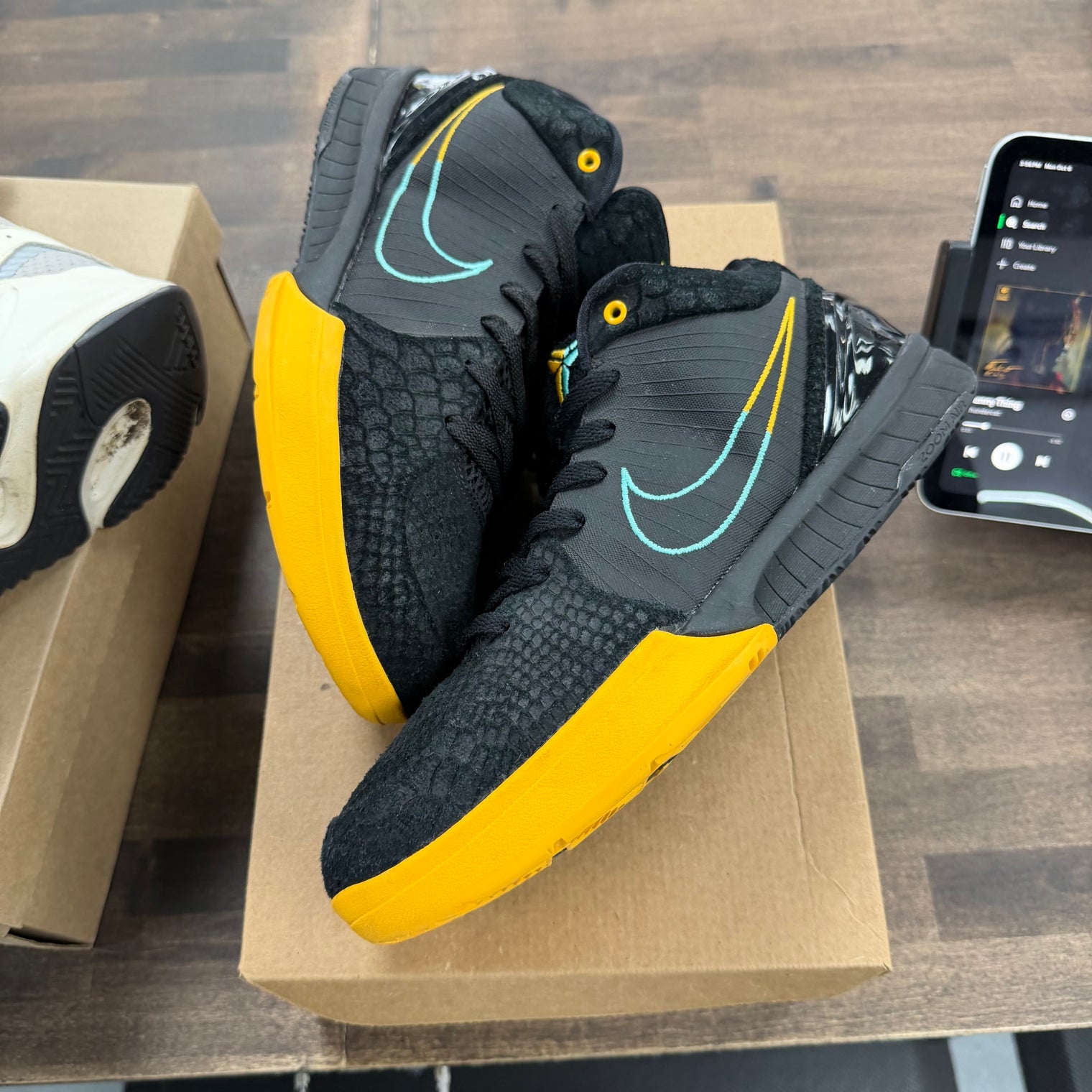 Snakeskin Nike Kobe 4 Protro (USED, No Box)