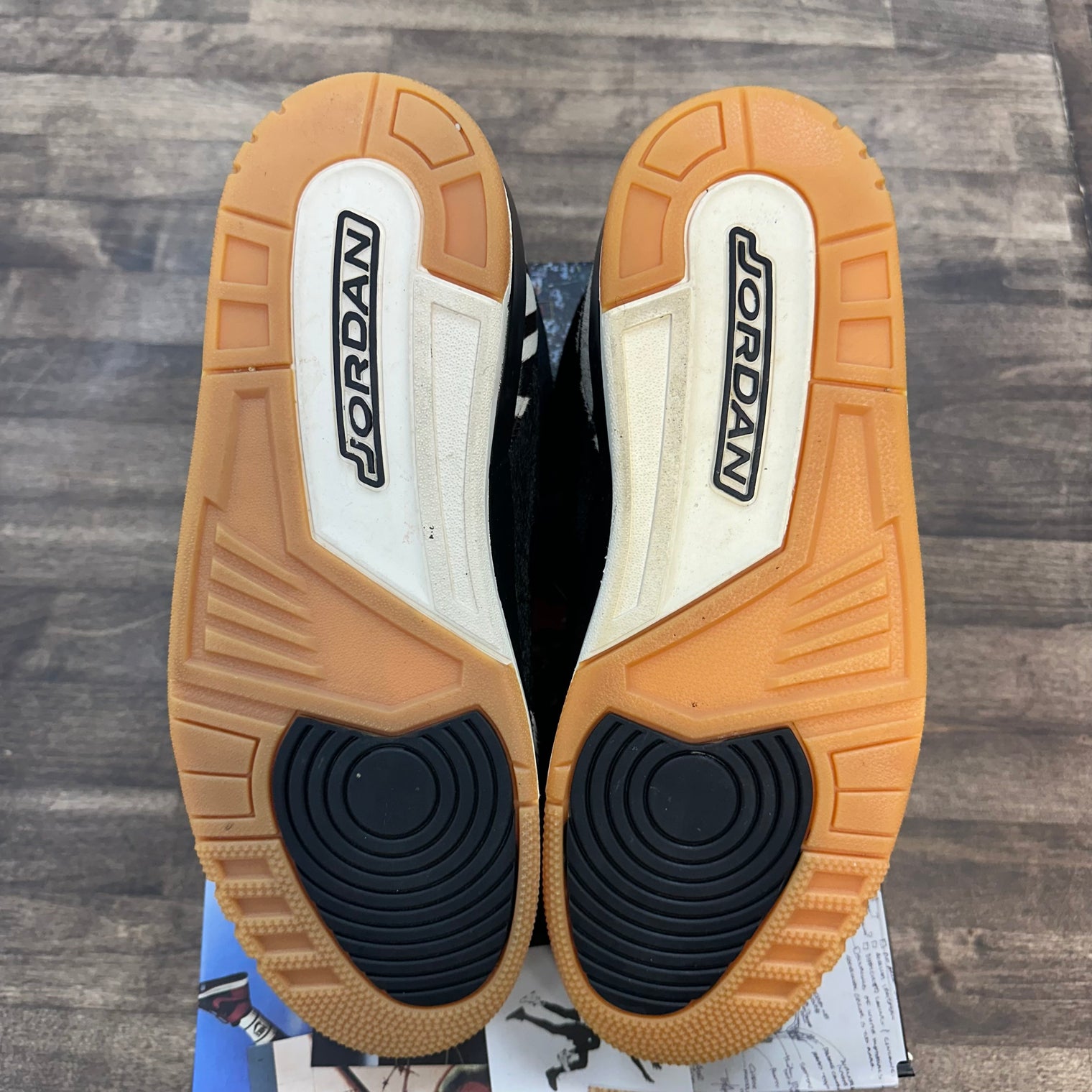 Animal Instinct Jordan 3 Retro SE (USED)