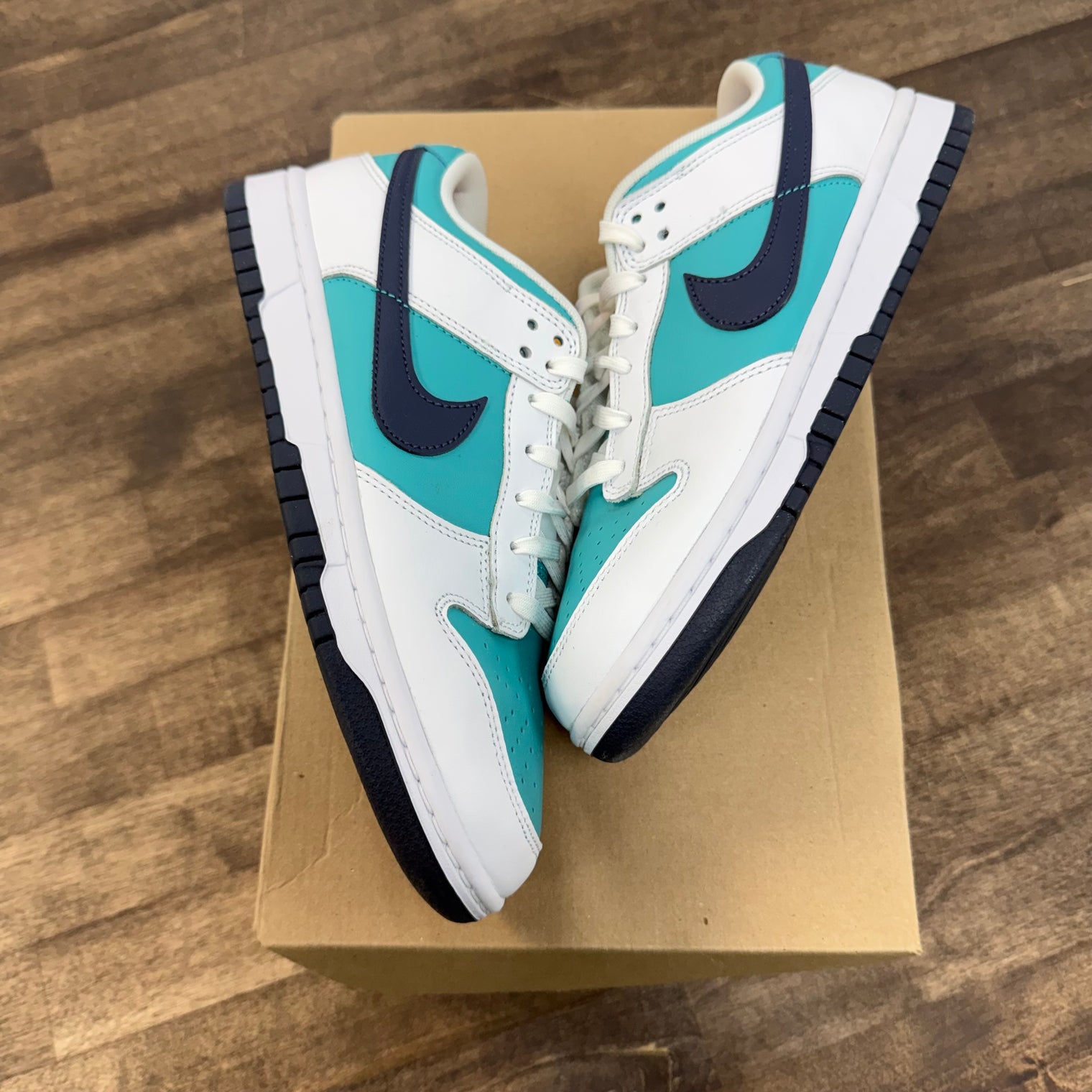 Dusty Cactus Nike Dunk Low (USED, No Box)